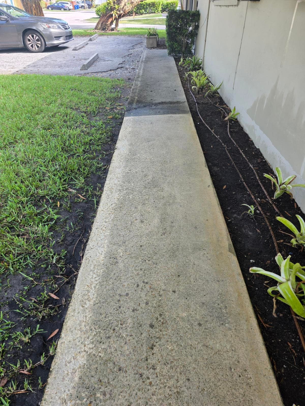 Concrete walkway bordered by a green lawn and a narrow garden bed with small plants.